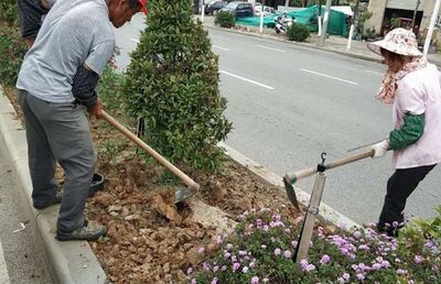 做好綠化補植工作，保障良好通行環境