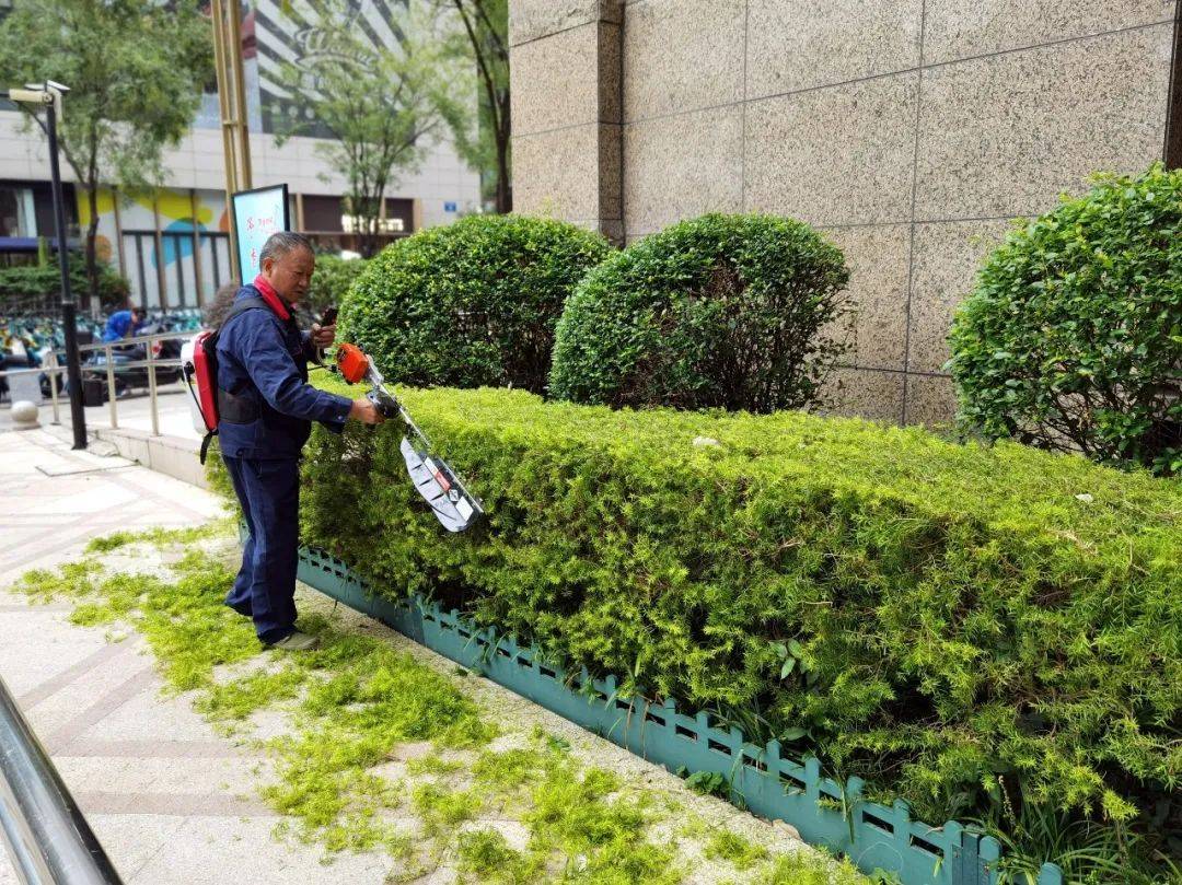 綠化修剪作業 園林維護的重要環節