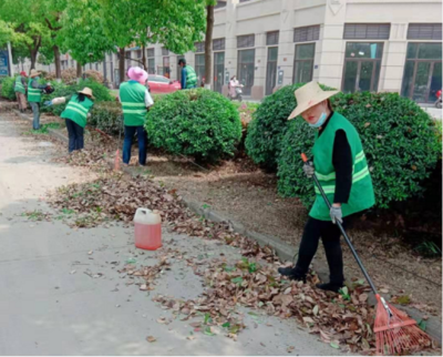 城管局扎實開展春季綠化養護 全面提升城市綠化管理水平