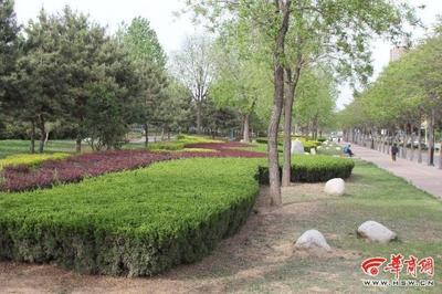 高溫天，銅川多措并舉為園林綠化“降溫護航”