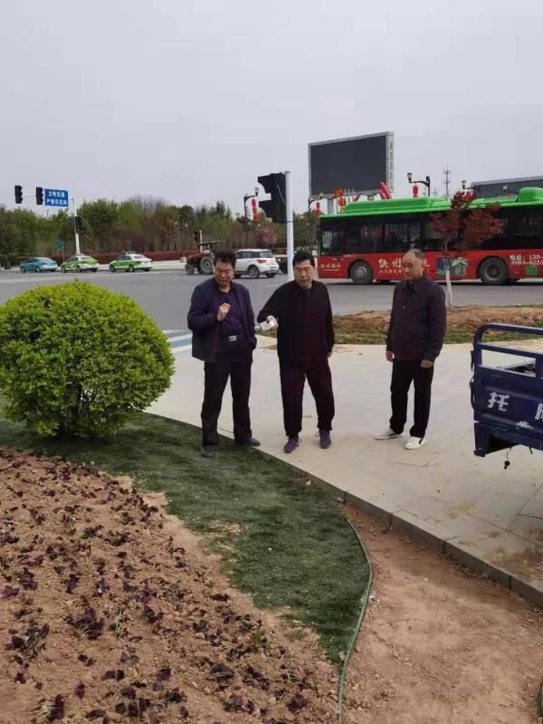 三門峽市綠化工程管理處精心施工細心養護 全力做好迎檢工作