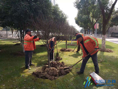 錫山城管局三步走完成春季綠化補植工作