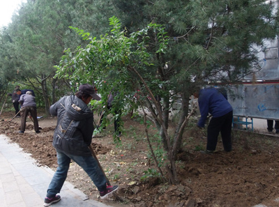 涿州市多措并舉推進園林綠化工作，助力創城目標