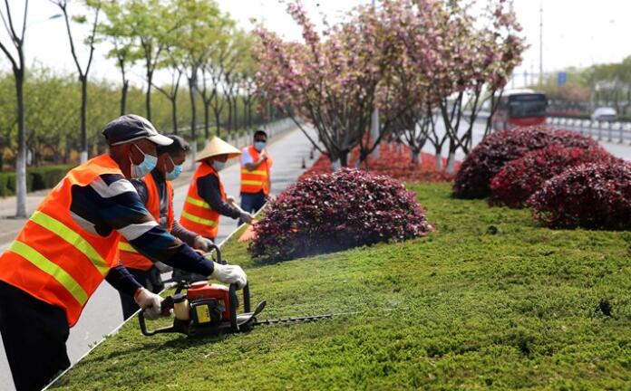 園林綠化養護首次納入信用評價體系，開啟精細化管理新篇章