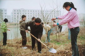 植樹綠化，重在管理——論綠化管理的核心價值與實踐路徑